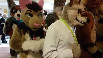 NordicFuzzCon 2017 Fursuit Parade Part 2
