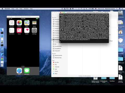 React Native CFBundleidentifier does not exist