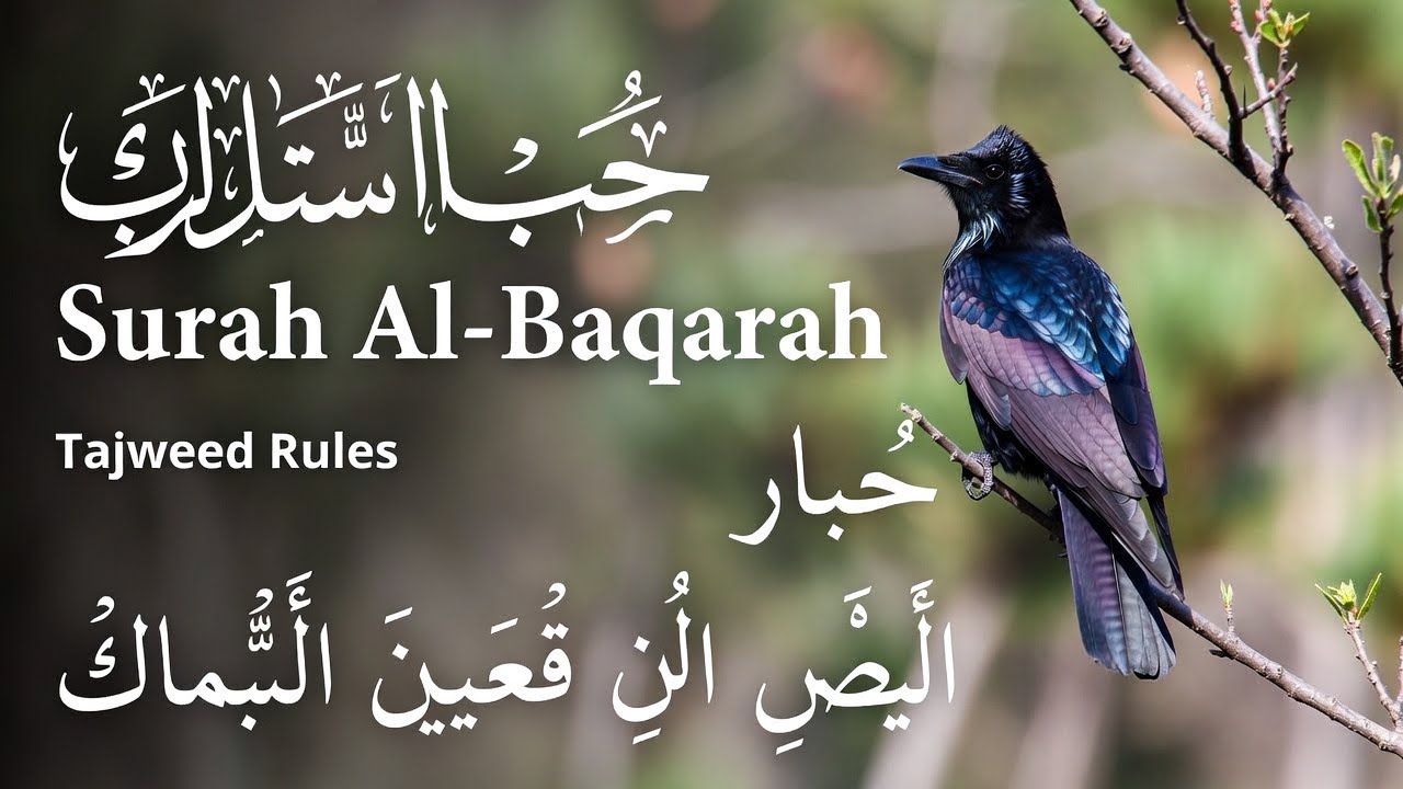 سورۃ البقرۃ – Complete Guide & Benefits | Quran Surah Al-Baqarah