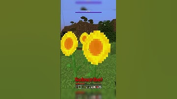 Minecraft, But A Wither Is Chasing Me