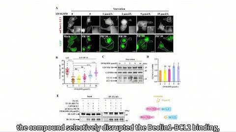 APSB Video Abstract - Volume 14, Issue 5 (Back Cover)
