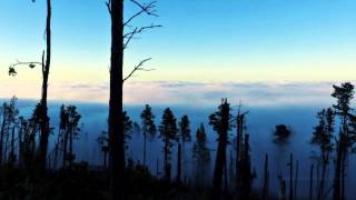 Aurora Borealis A Cosmical Synapsis Hd