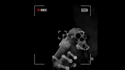 How Many Content Warnings Ruin A Video?