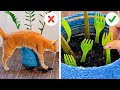 Truques e artesanatos úteis para os pais de gatos