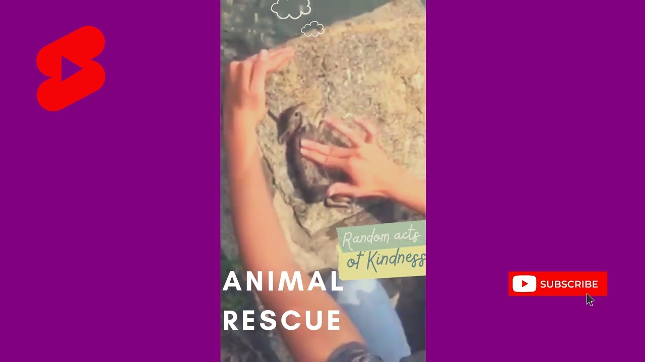 Random Acts of Kindness - Restoring Faith in Humanity 