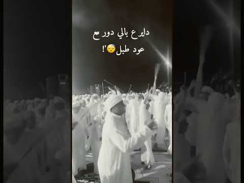 داير عبالي دور مع عود طبل 