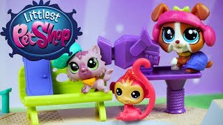 Littlest Pet Shop Triki W Skateparku Bajki Dla Dzieci