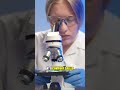 The Molecule That Reverses Aging in Muscles