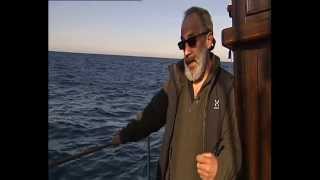 Avistamiento de aves marinas en el barco "Chasula" Galicia