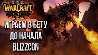 Warcraft III Reforged До Старта Blizzcon 💾 Собираем Фидбек для Blizzard