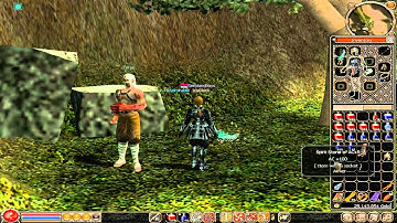 Metin2.Us Iceblack - upgrading stones and socketing