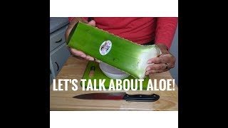 Aloe Pre Poo!! Hair, Skin, and Health | Type 3/4 Natural Hair |