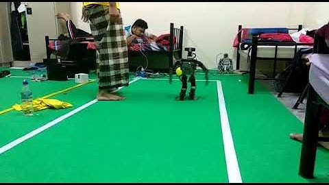 Robotis OP3 Sprint Test 2018