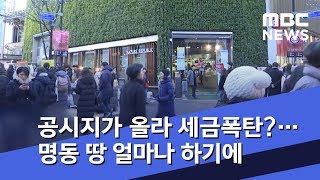 공시지가 올라 세금폭탄?…명동 땅 얼마나 하기에 (2019.01.05/뉴스데스크/MBC)