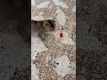 أنا زهجت منك احمد حلمي أنا زهجت منك احمد حلمي