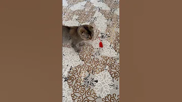 أنا زهجت منك احمد حلمي 