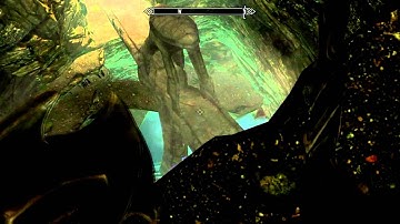 Skyrim: Missing Textures