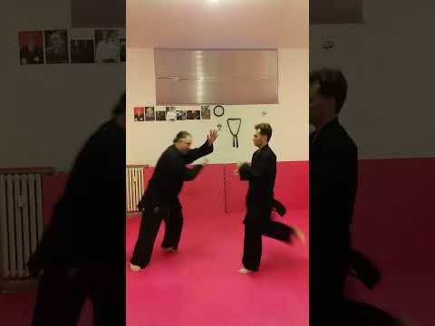 Video ESTRATTI KENPO-AIKIJUTSU MAESTRO 6° DAN LUCIO PICCIOLI RESPONSABILE NAZIONALE MSP ITALIA E UIK