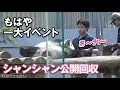 2018/9/13 シャンシャン回収大公開！5分間の攻防ノーカット！　Giant Panda Xiang Xiang
