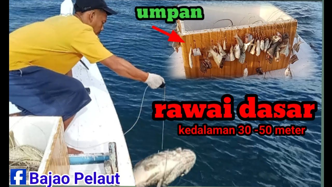Merawai ikan kedalaman 30 sampai 50 meter || spot belakang kampung,tak terduga hasilnya