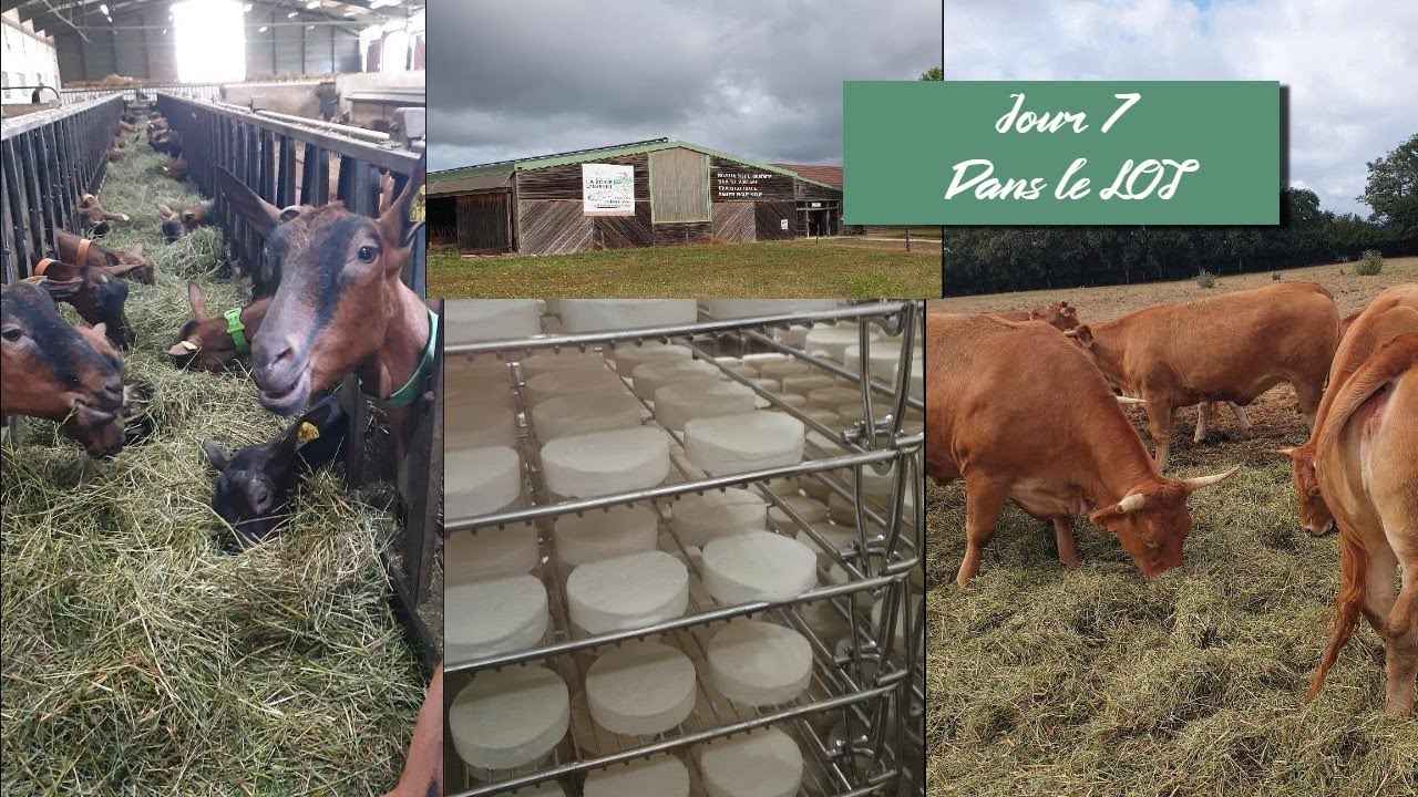 #7 - visite a la ferme (Borie d'Imbert) - Dans le Lot