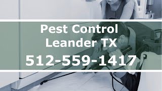 Pest Control In Leander Texas - Residential Bed Bug Control & Termite Treatment 24 Hour Exterminator