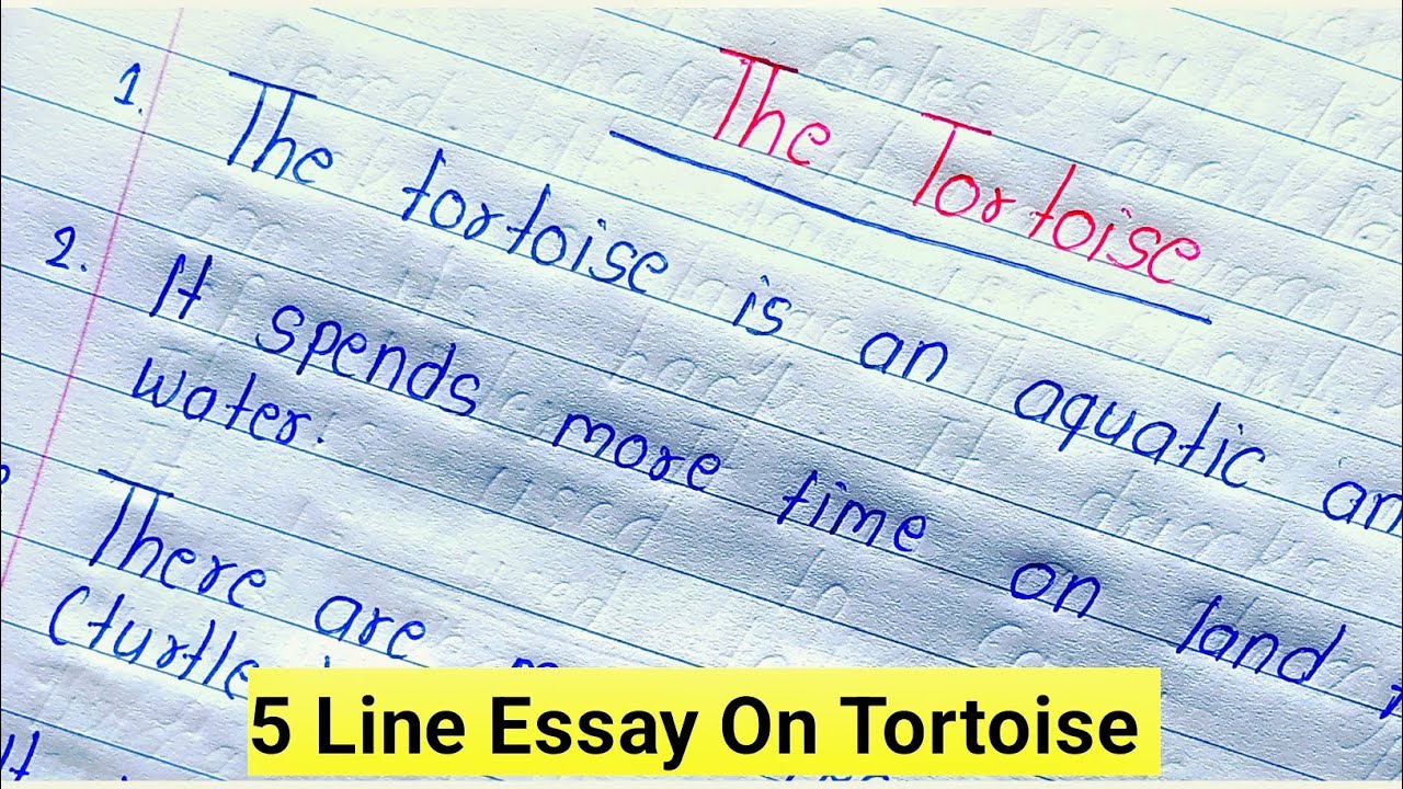 5 Lines On Tortoise in English || Essay On Tortoise in English || Tortoise 5 Lines in English