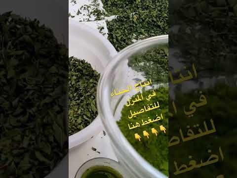 طريقة انتاج الحناء في المنزل  الزراعة المنزلية زراعة الاسطح   