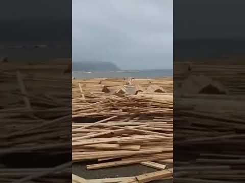 В посёлок Преображение на берег вынесло древесину