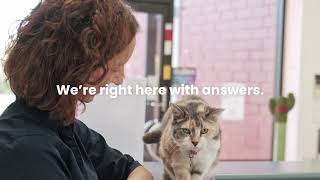 Expert pet advice you can trust