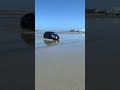 Panamovil en playa sola