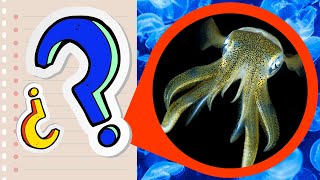 Preguntas de animales MARINOS 1 ⚠️ NIVEL DIFÍCIL!! | TEST de ...