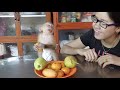 First Time Moly Learn To Test Pear | Moly Crying Worry Mom Let Him Eat A Lone