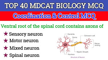 40 Coordination & Control MCQ for Entry Test l MDCAT 2025 MCQ | Nervous System MCQ