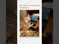 #funny #haveitoldyoulatelythatiloveyou #memes #pancake #shalom z SHALOM GAMING WORLD 🌏