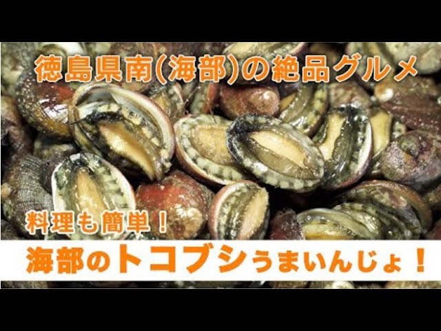 徳島県南 海部 の絶品グルメ 料理も簡単 海部のトコブシうまいんじょ Youtube