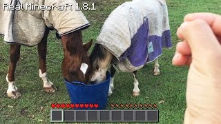Real Life Minecraft - HORSE POO CARNAGE