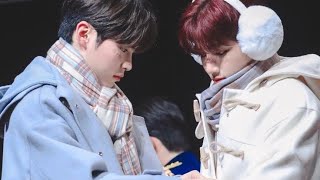haobin tiktok part 2 because i love them too much