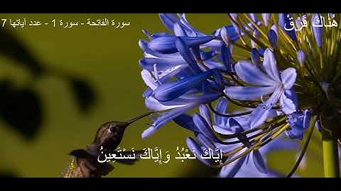 سورة الفاتحة   سورة 1