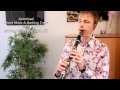 Gypsy Klezmer Jazz clarinet - Zohar Freilakhs