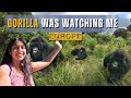 Indian in Europe Safari Park 🚌 | Budget Safari Experience in Netherlands 🇳🇱 | Europe Safari Vlog