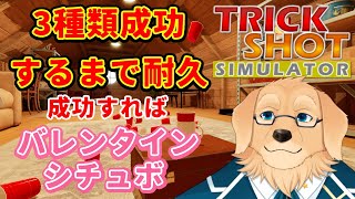 【Trickshot Simulator】これ決めたら…伝えたいことがあるんだ【Vtuber/星戌セン/完全初見/#vtuber #trickshotsimulator】