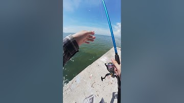 Trải nghiệm 24 giờ câu cá tại trụ điện HÒN SƠN kiên giang