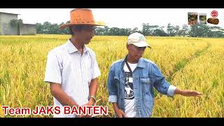 DAHSYAT.. DISEMPROT ECO FARMING 2 KALI, PANEN PADI HANYA 90 HARI screenshot 4
