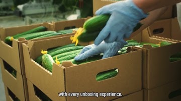 The Circular Solution For Business