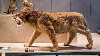 The Most Dangerous Prehistoric Animals That Ever Lived