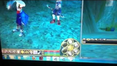 Flyff xenox3 levelbot