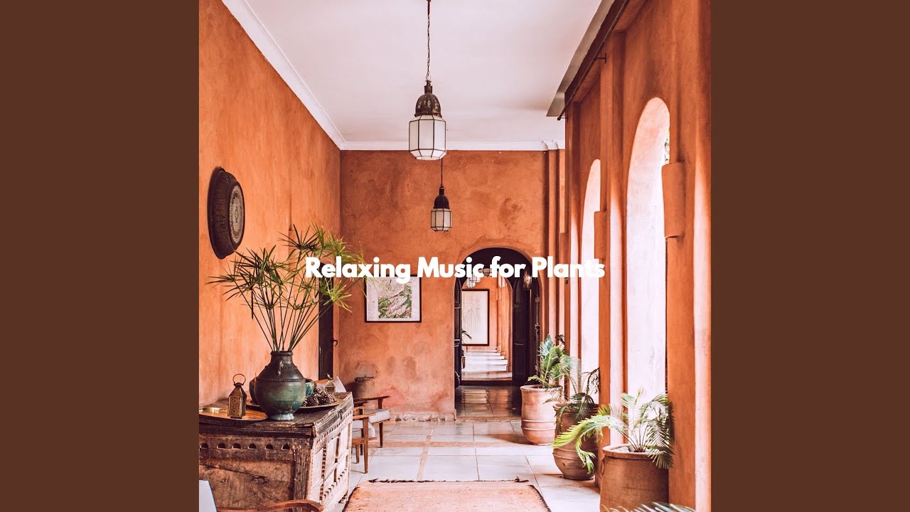 Unique Ambiance for Decompressing Peace