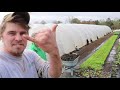 You Can't Eat Toilet Paper | Small Farm WEEKLY VLOG