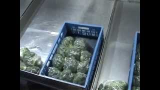 Cost Effective Packing of Broccoli: VePack S series